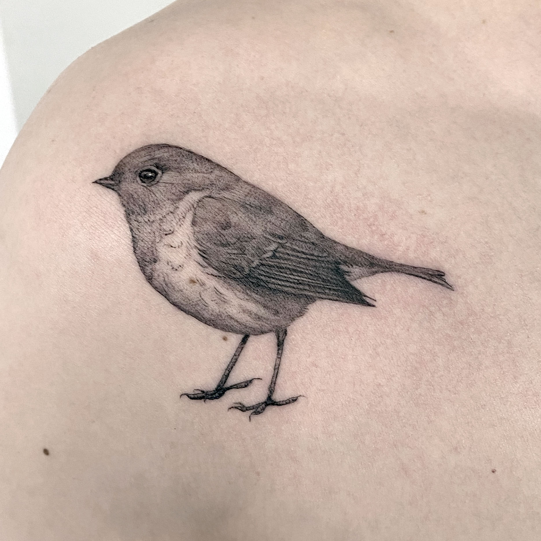 Fine Line bird tattoo